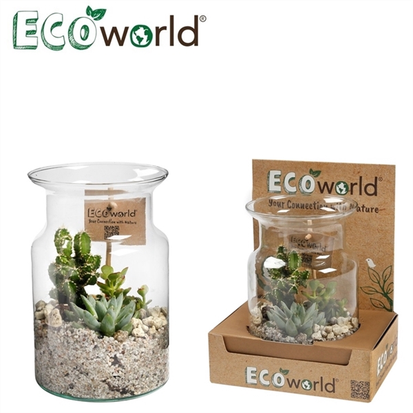 <h4>Ecoworld cactus & succulent deco glas</h4>
