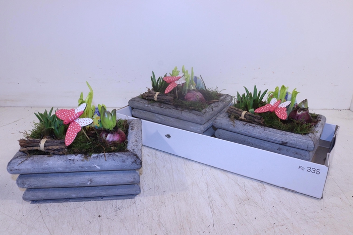 <h4>ARR BOL KNOLGEWAS</h4>