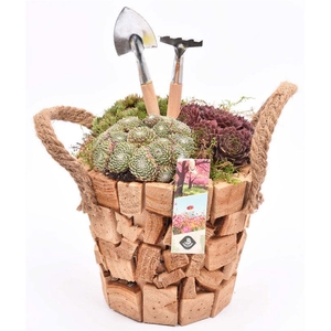 Hout pot natuur 17cm