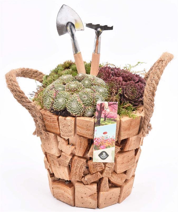 <h4>Hout pot natuur 17cm</h4>