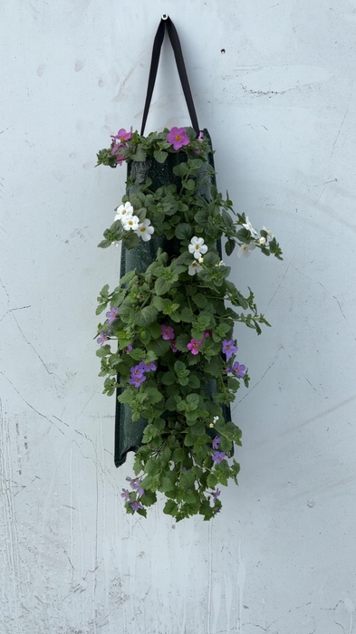 <h4>OVERIGE PERKPL</h4>