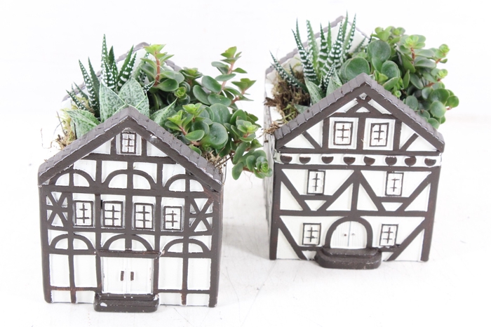 <h4>arr3 SN - Ker. swiss house L x6</h4>
