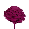Pine cone cut 5-7cm on stem Cerise