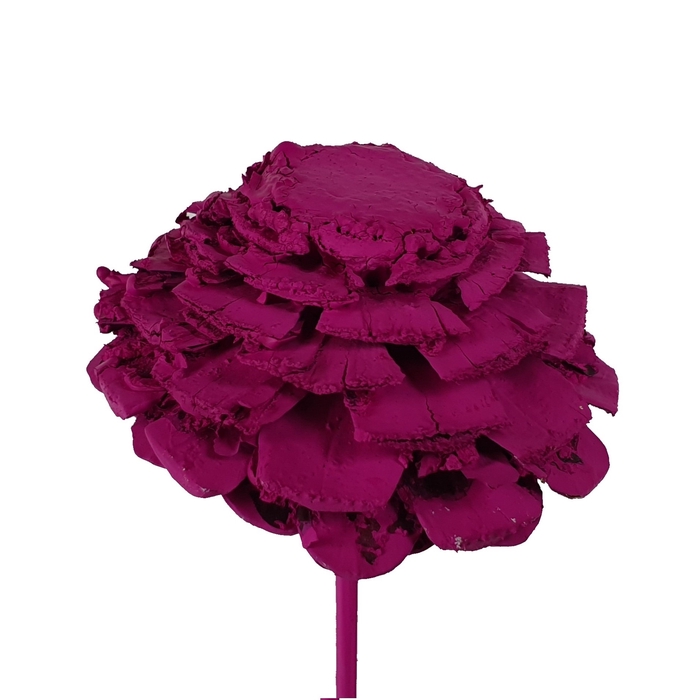 Pine cone cut 5-7cm on stem Cerise