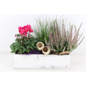 arr4 Outdoor VL - Kist rechth. wit 3pl