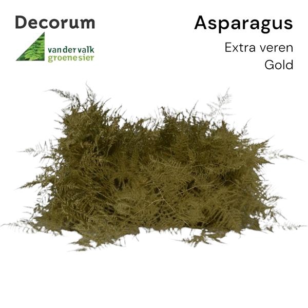 <h4>Asp extra veren Gold Box</h4>