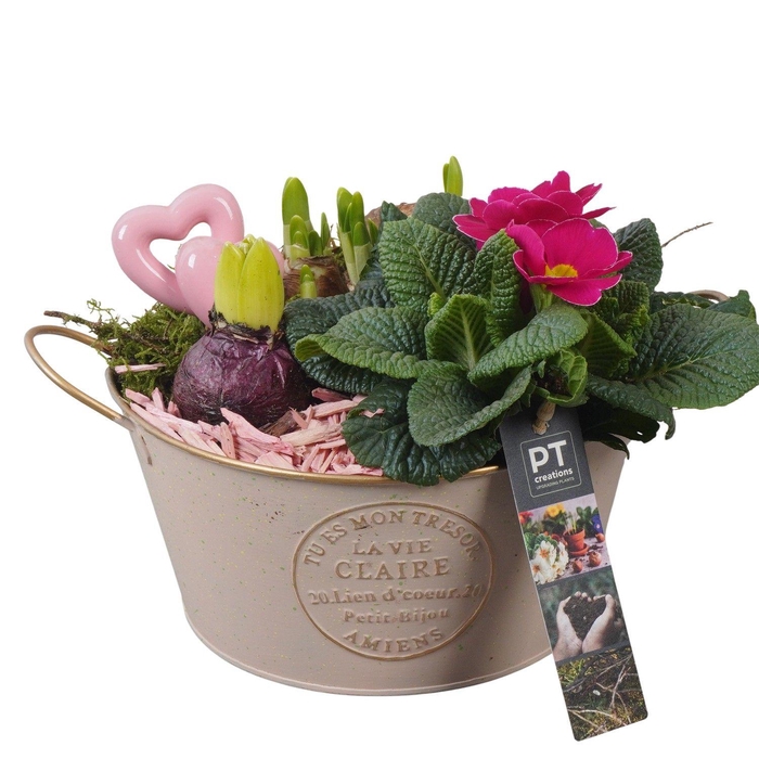 <h4>PTVO3611 Arrangement Valentine Outdoor in metalen schaal</h4>
