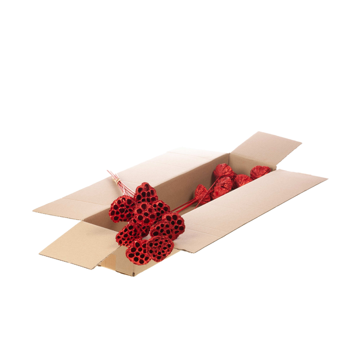 <h4>Lotus O/s Sb Red R Glt</h4>