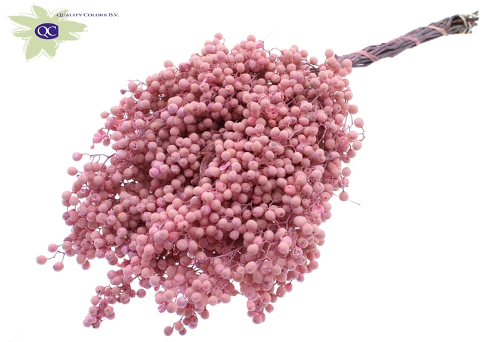 Pepperberries per bunch in poly Pink