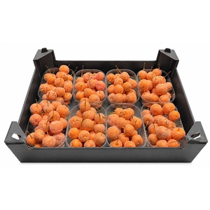 Waxmalus Gl Oranje