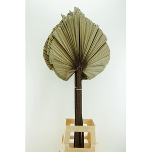 Droog Robusta Natural