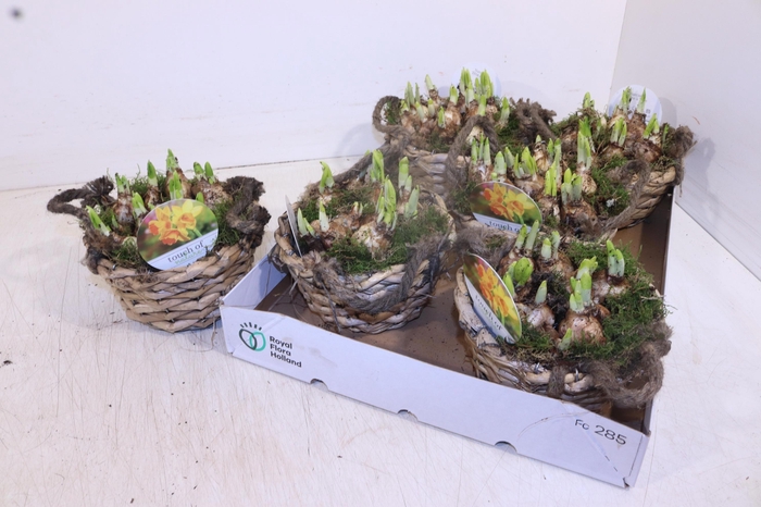 <h4>ARR N TETE A TETE</h4>