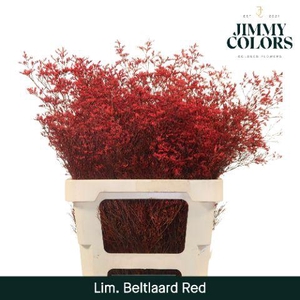 Lim Bel L70 Red