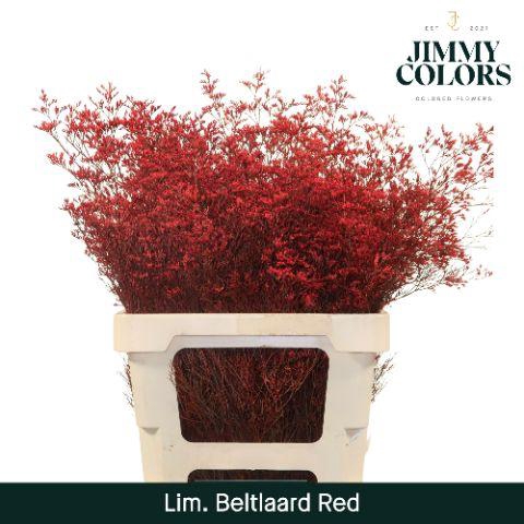 <h4>Lim Bel L70 Red</h4>