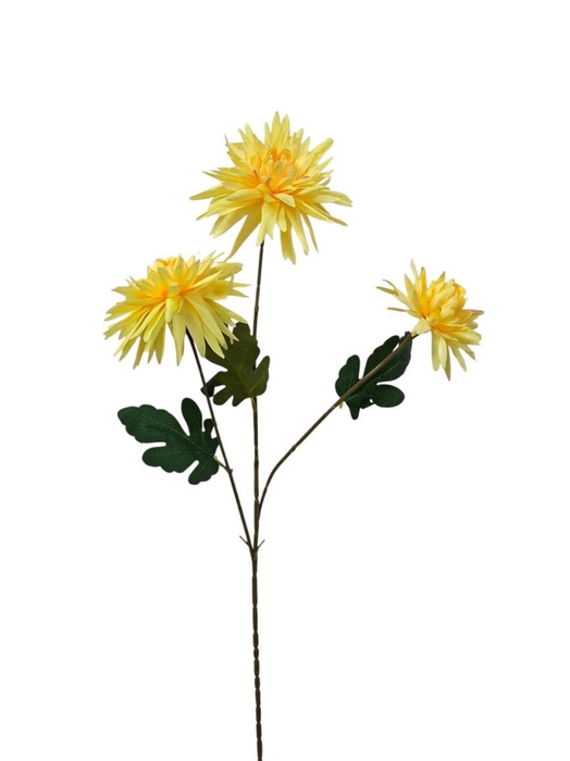 AF Dahlia Spid. spr x3 L77cm y