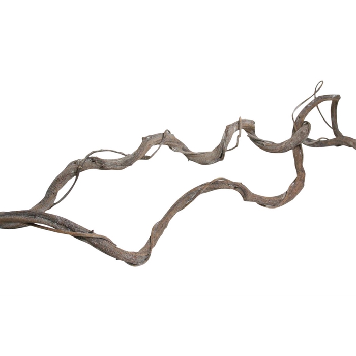 <h4>Branch Crazyvine Wrapped L180</h4>