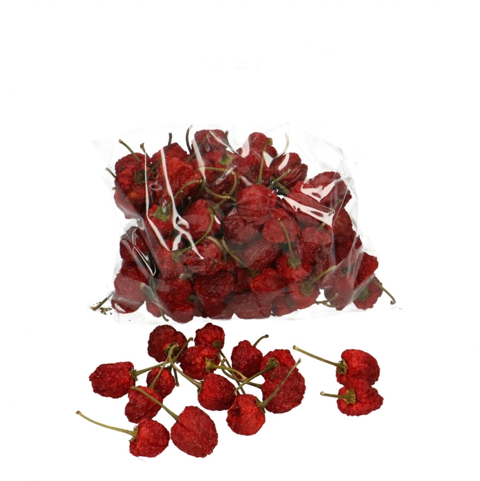 <h4>Chilipeper klein 200g</h4>