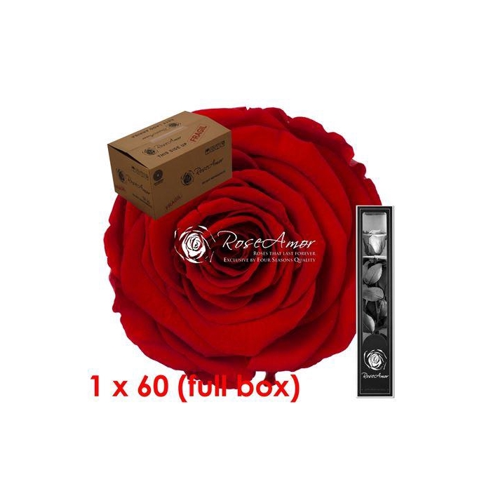 <h4>30cm Stem Red02 Bulk</h4>