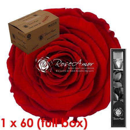30cm Stem Red02 Bulk