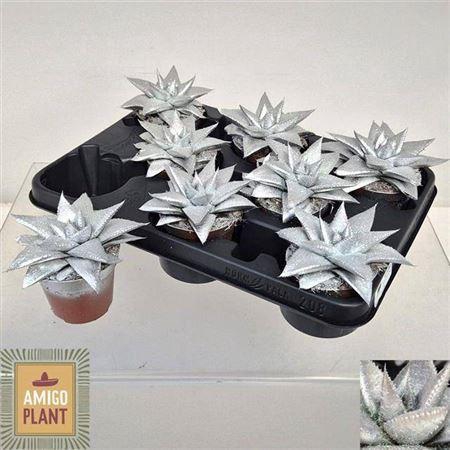 Gast Hippo Silver Glitter