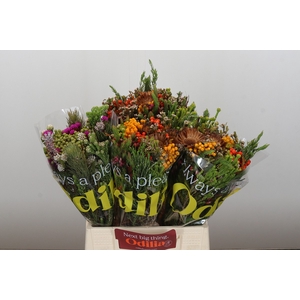 BQ Rosette Carroussel Fall