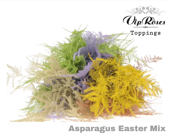 <h4>ASP OV EXTRA VEREN EASTER MIX</h4>