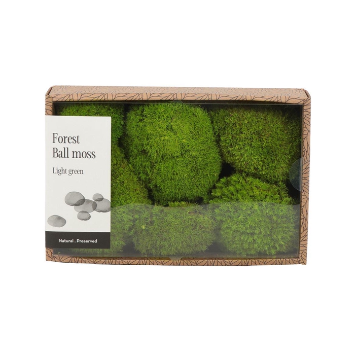 <h4>Bolmos Gepreserveerd - Box M</h4>