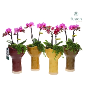 Keramiek vaas met arrangement