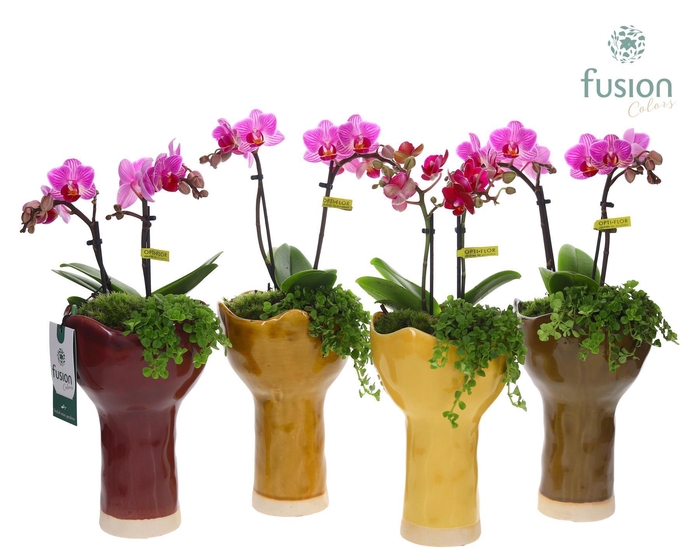 <h4>Keramiek vaas met arrangement</h4>