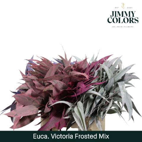 <h4>Victoriablad Gekleurd Klbh. Frosted Mix</h4>