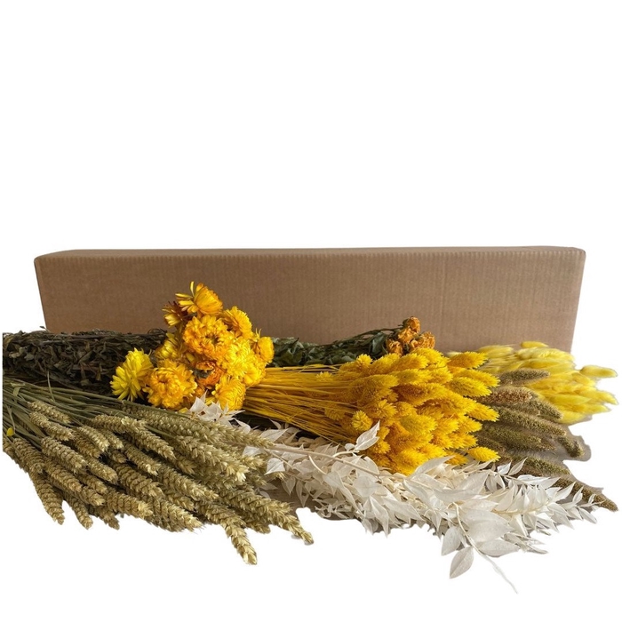 <h4>Droogbloem DIY box assorti 65-75cm</h4>