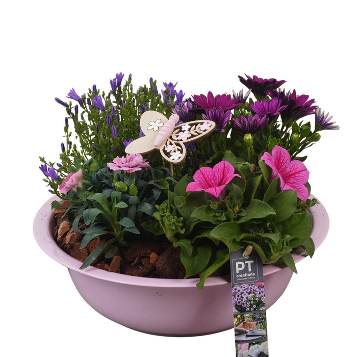 <h4>Arr.   Perkplanten H%</h4>