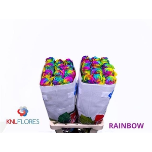 R GR OV KLB H% RAINBOW
