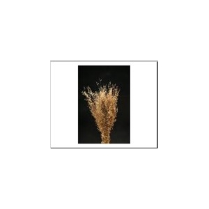 DF Munni Grass 70cm 100g Nat.