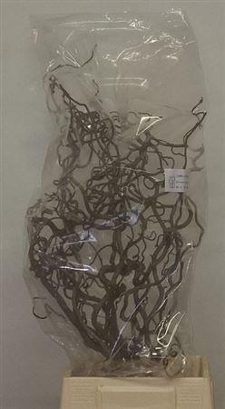 <h4>Corylus Av Contorta 70cm X10</h4>