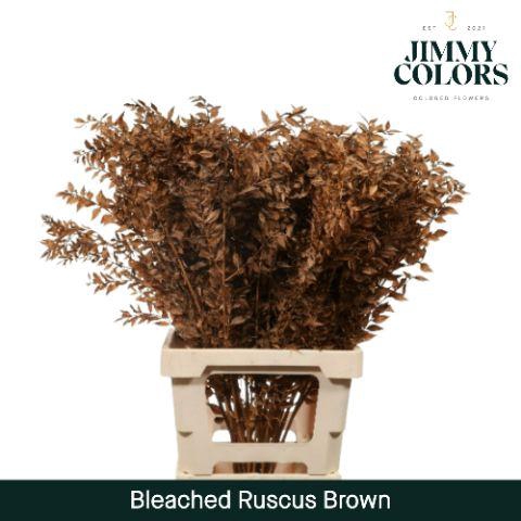 <h4>Ruscus Bleached Italy L70 Brown</h4>