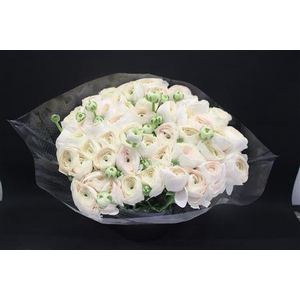 Cloni Super Hanoi Xxl