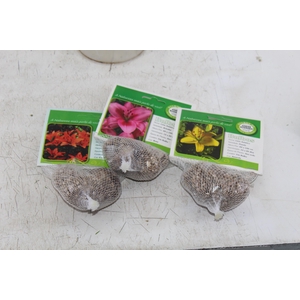 BULBOS DE FLORES NATURAIS