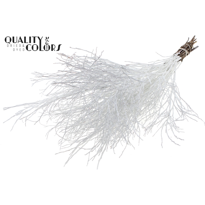 <h4>Huckelberry per bunch White</h4>