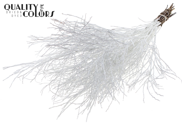 Huckelberry per bunch White