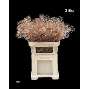 Limonium Copper + Glitter Bio