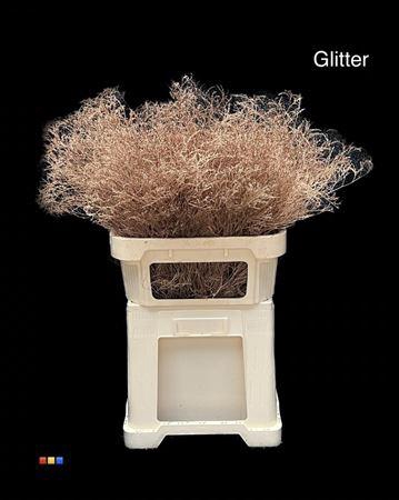 <h4>Limonium Copper + Glitter Bio</h4>