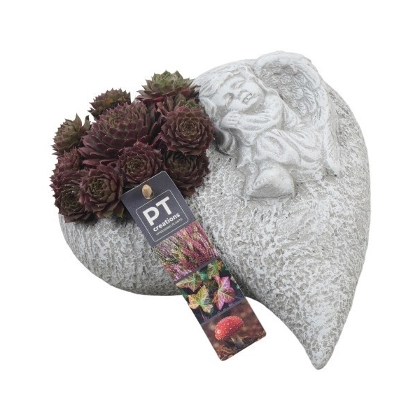 <h4>PTAH8607 Arrangement Allerheiligen in beton hart</h4>