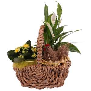 Easter Arr. Indoor Willow Waterhyacint Handle Basket Ø25cm 2PP