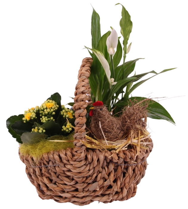 <h4>Easter Arr. Indoor Willow Waterhyacint Handle Basket Ø25cm 2PP</h4>