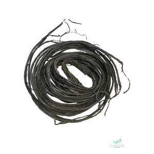 CURLY TWIG 160CM 1PC FOAM GREY