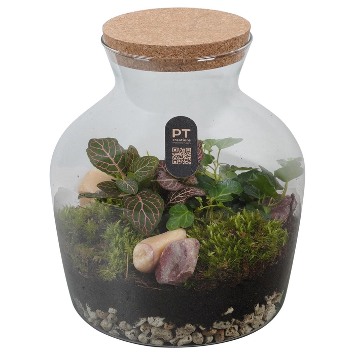 <h4>Arr.   Kamerplant Groen H%</h4>