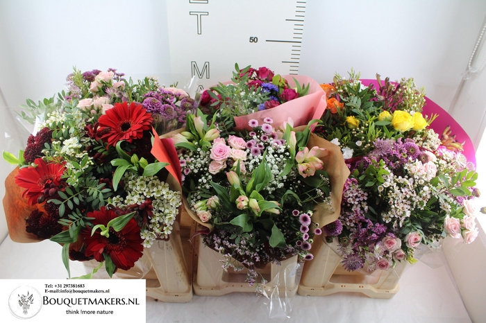 <h4>GEM BOEKET OV</h4>