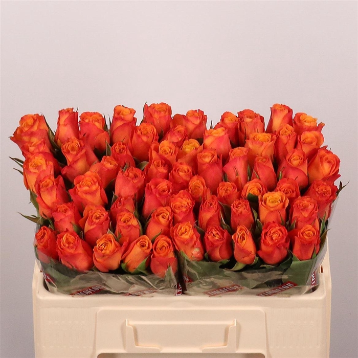 <h4>R Gr Confidential</h4>