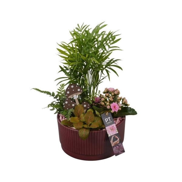 <h4>PTHI5589 Arrangement Herfst Indoor in Keramiek schaal</h4>